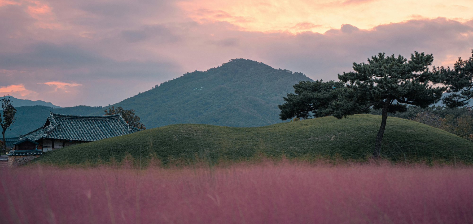活断層が眠る街 藤井寺 – 誉田断層と羽曳野撓曲が語る過去と未来